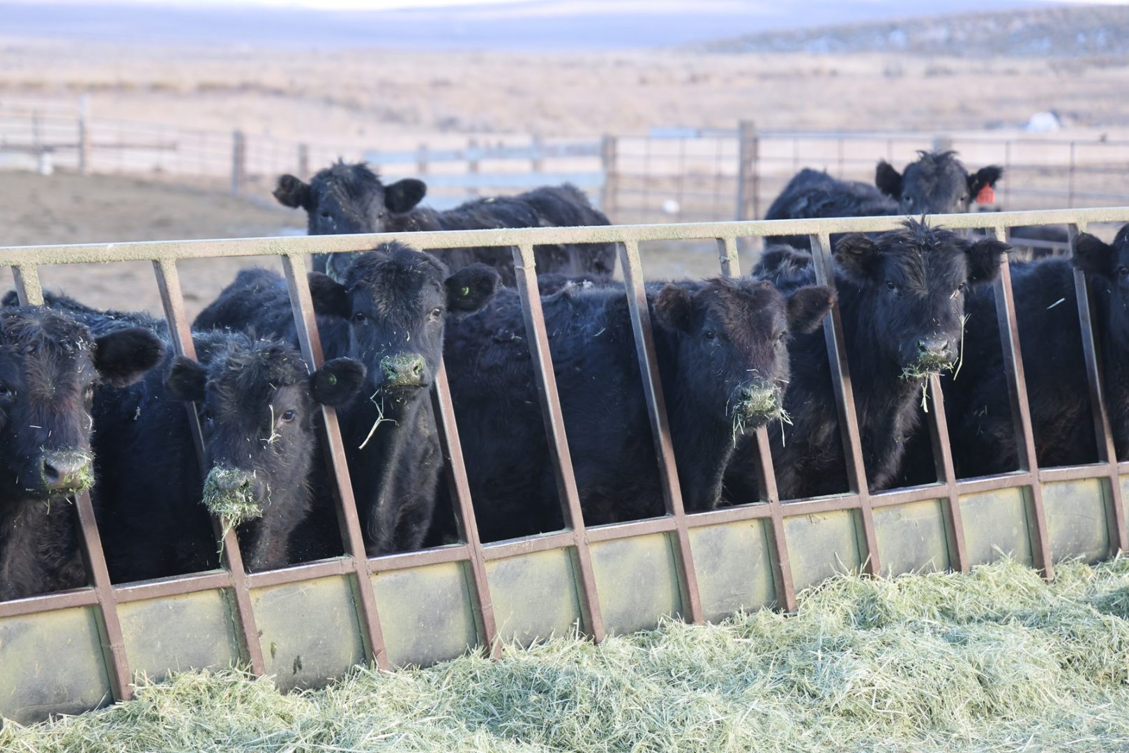 Briggs Ranch in Eastern Oregon Magnificent 5,058 Acres! UCRP