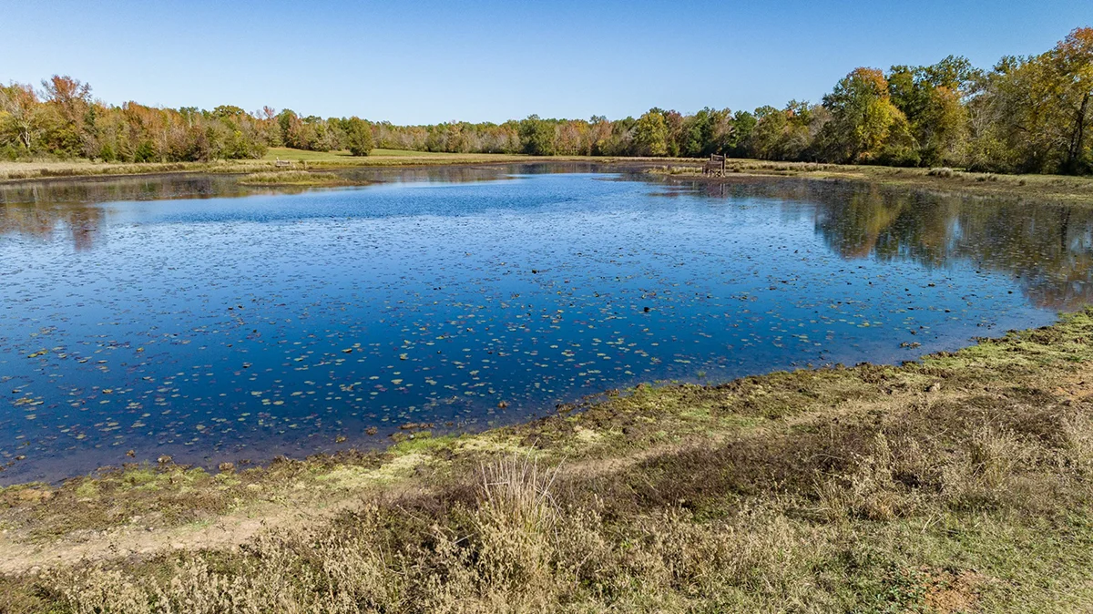 Featured Ranches for Sale in TX