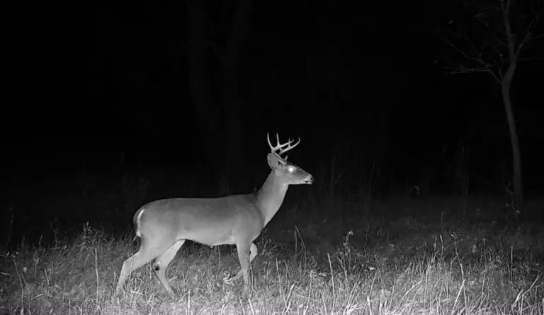 P02[0:0] TT[964] E[080:0000]G[148:0x00] BV[13:-3] IR[F:40] 2323