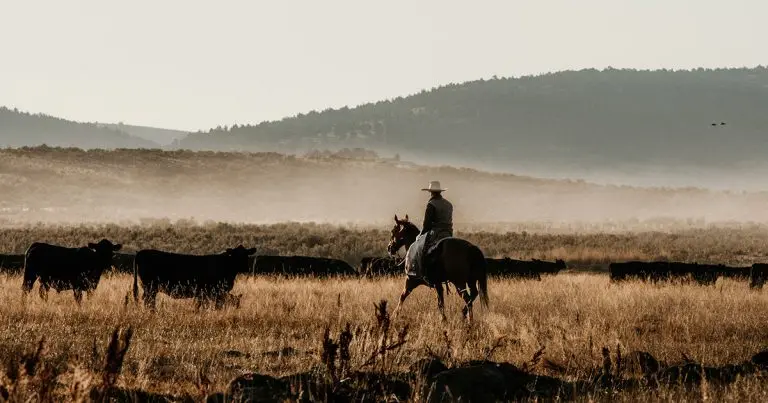 Best state to purchase a ranch
