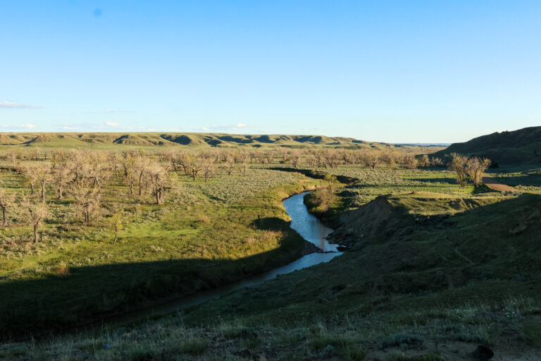 31_47b57153-b2e1-4e2f-9956-829ef1a9faa7