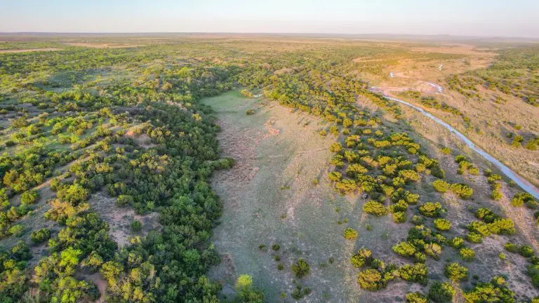the montgomery ranch