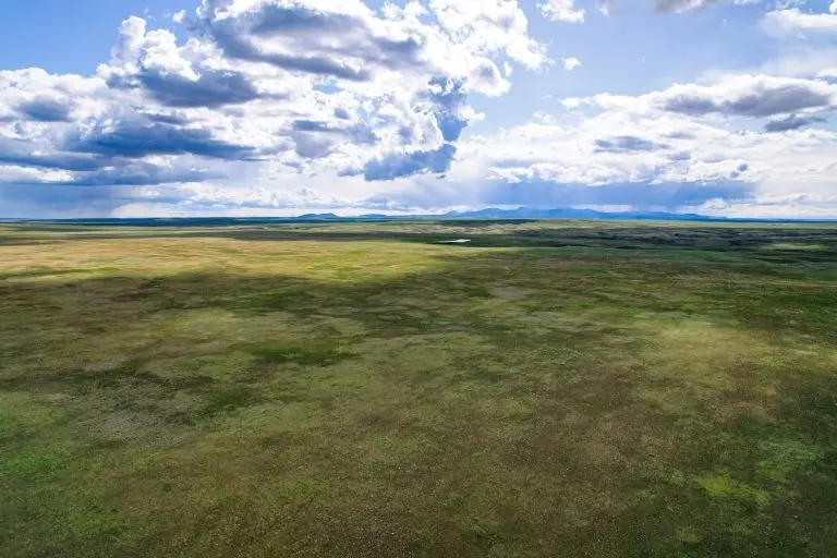 South Phillips County Ranch