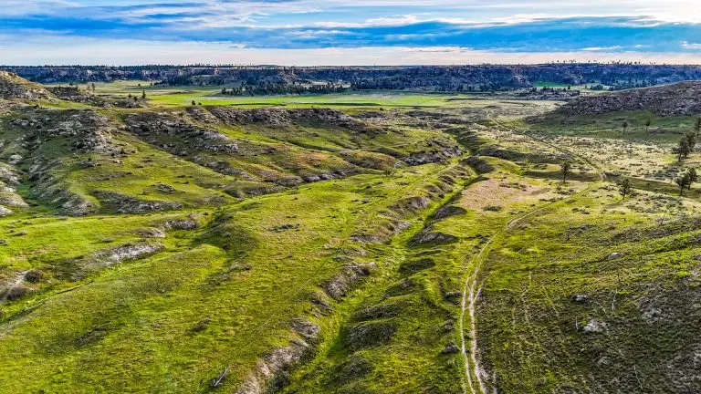 DJI_20240522064947_0067_D