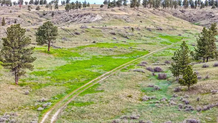 DJI_20240522072403_0082_D