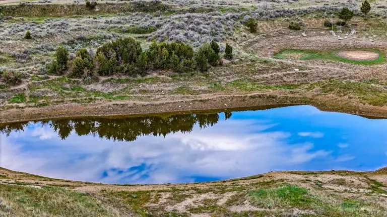 DJI_20240522075122_0085_D