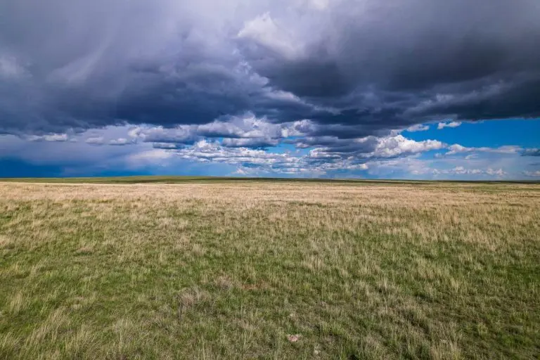 phillips county cattle ranch
