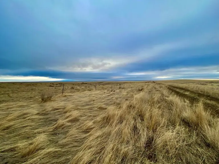 slade ranch north