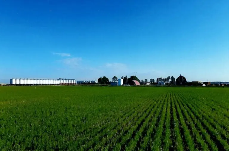 ranch in saco