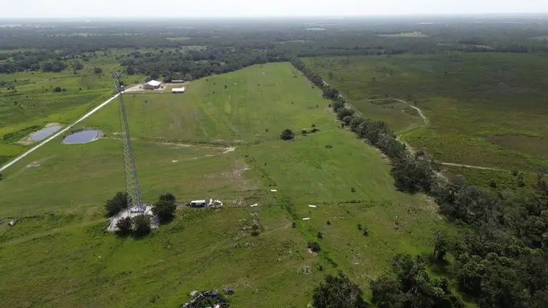 cattle ranch in myakka city