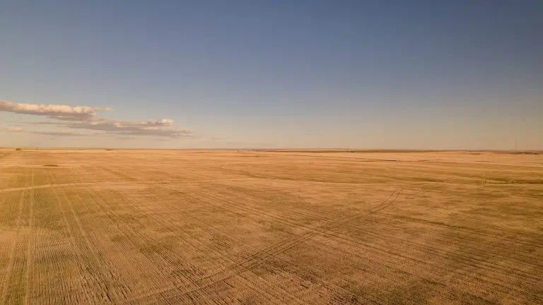 DJI_0325