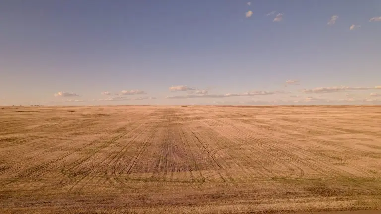 DJI_0326