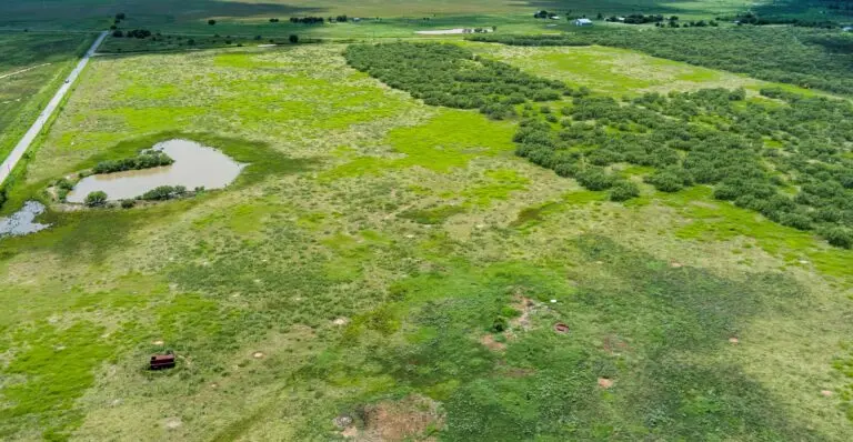 yandell ranch