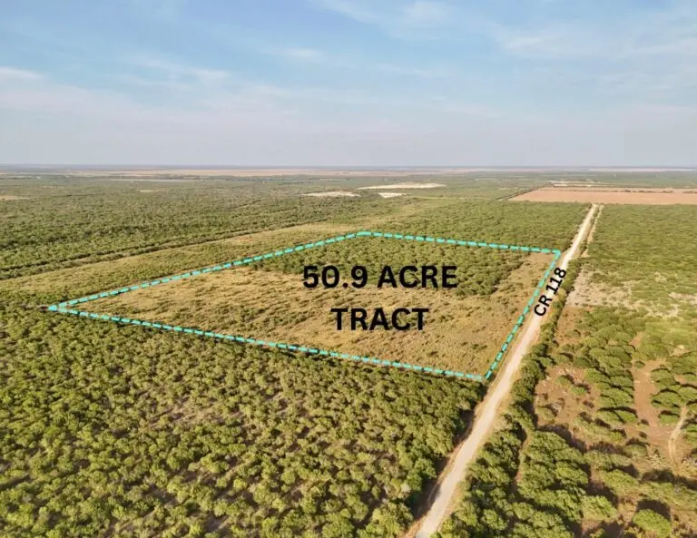 ranchland in jim wells