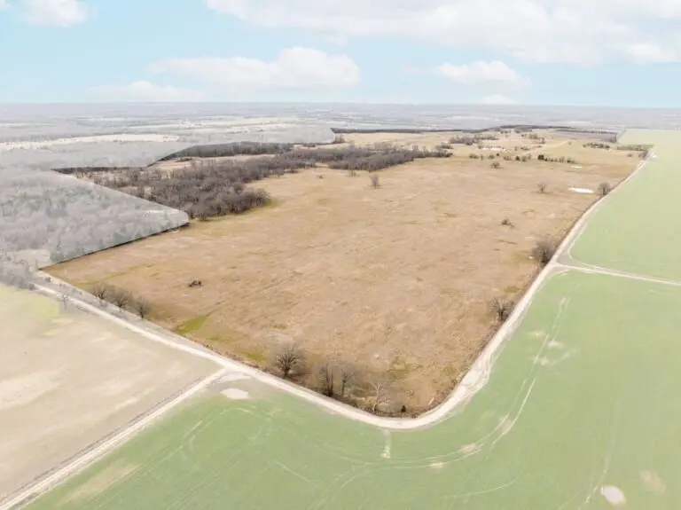 cattle ranch in lamar county