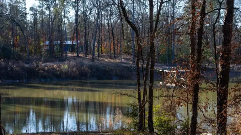 diana ranch