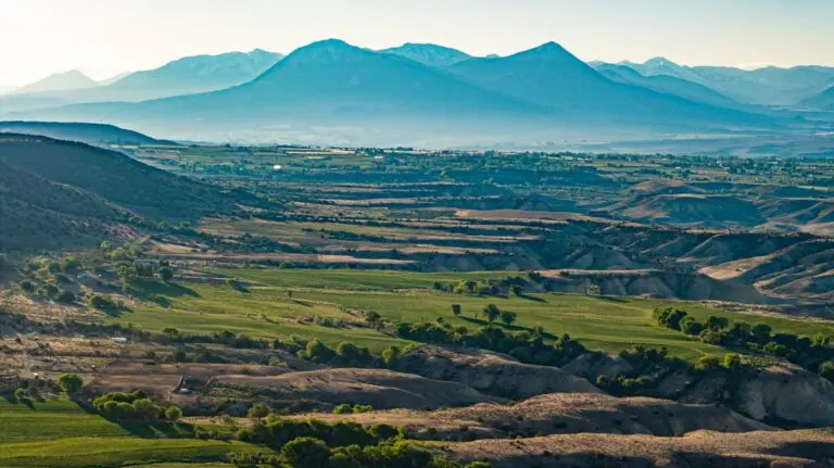 shamrock ranch