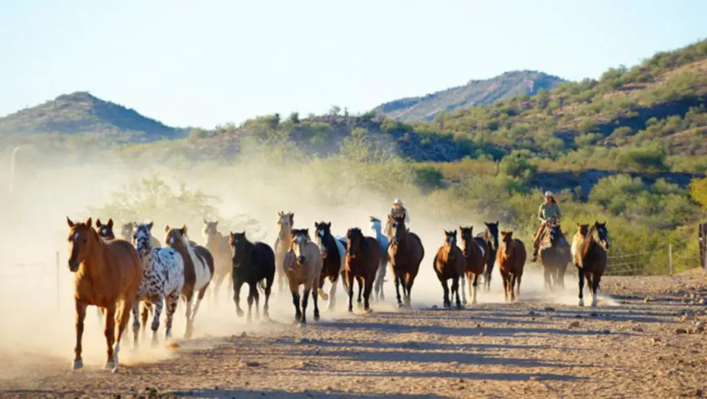 Rancho de los Caballeros