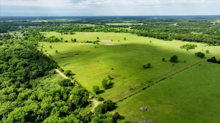 32