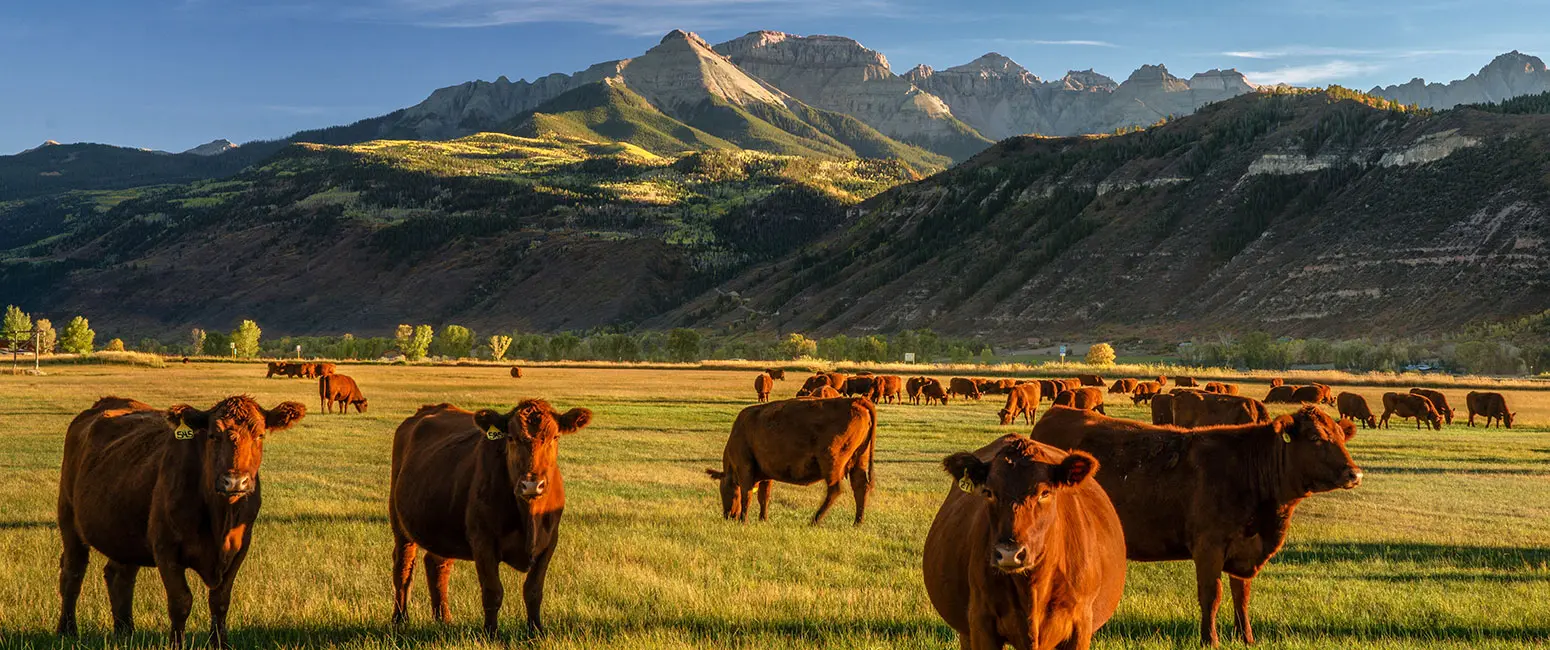 Ranches for Sale in Colorado