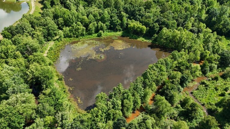 Prime Virginia Ag Land