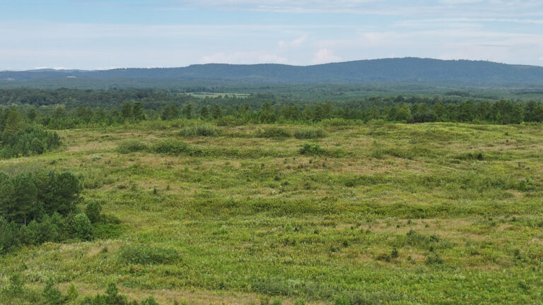 Virginia Ranchland