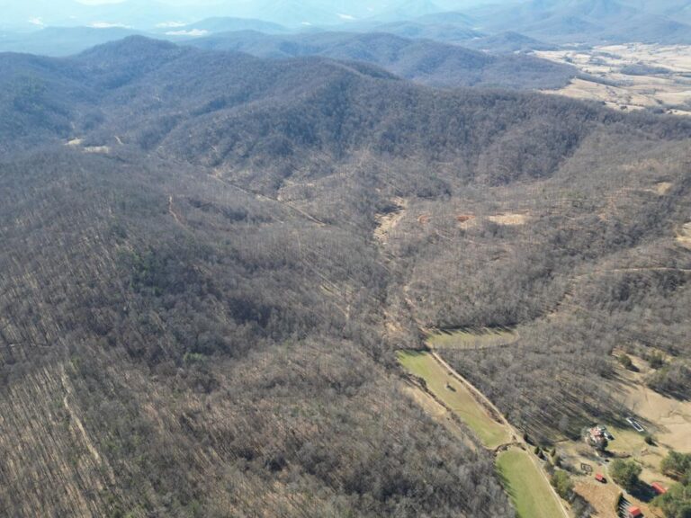 Virginia Acreage For Sale