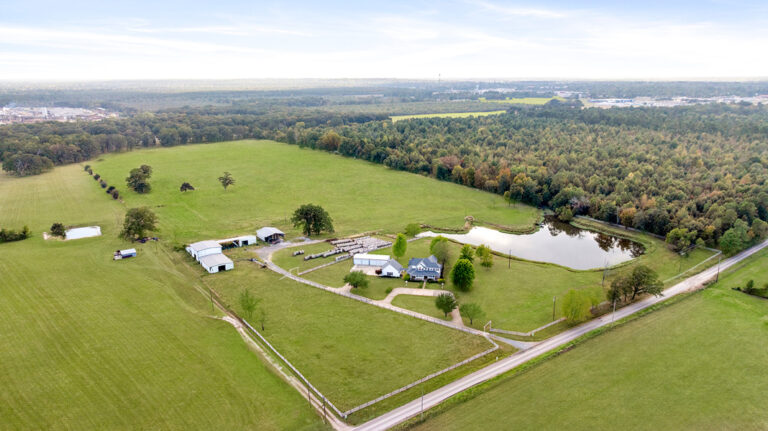 1136 CR 2001 New Boston