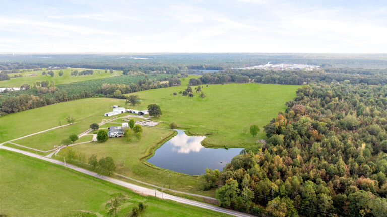 1136 CR 2001 New Boston