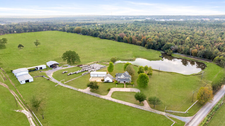 1136 CR 2001 New Boston