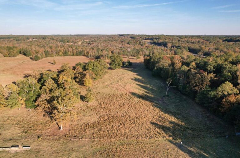 08_c0b499dc-2001-4896-b29e-b1b6eeffced3