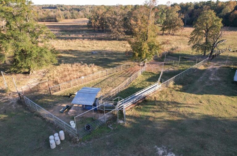 10_e1002ae3-2039-4329-ac00-a25ceb5f190e