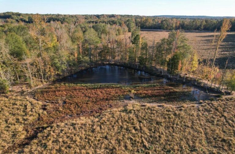 12_ac3e5b2c-e88c-4f9a-8568-3075ab139c07