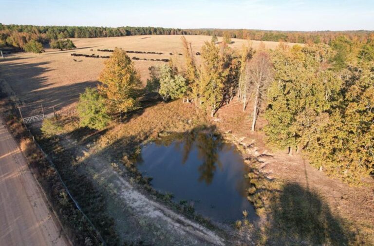 13_6d619052-20a6-46a8-9aa6-e1eeaff2d253