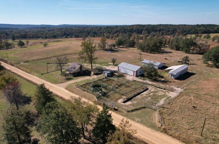 17_a1538392-03eb-4e72-8a67-a3923ab1af76