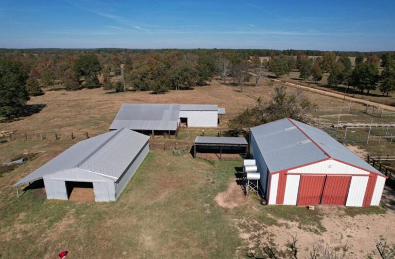 19_3ed8a073-d38c-49e2-8078-9f1099038946