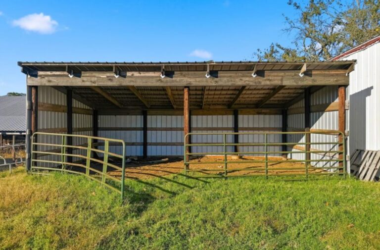 25_7c986b5d-1c45-4533-8152-581265c71834