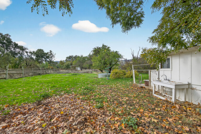 24_31fb5342-ea86-4431-82b1-e99978748dc3