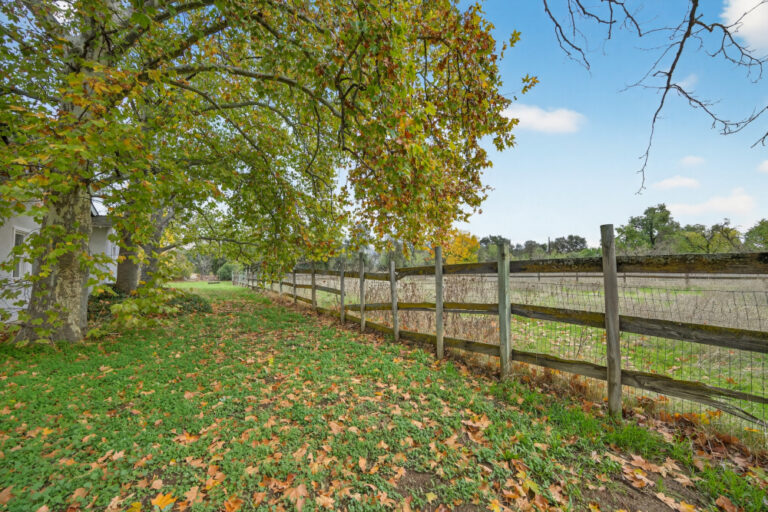 36_0e1e8f70-3285-4876-b482-7a03ac51ec6d