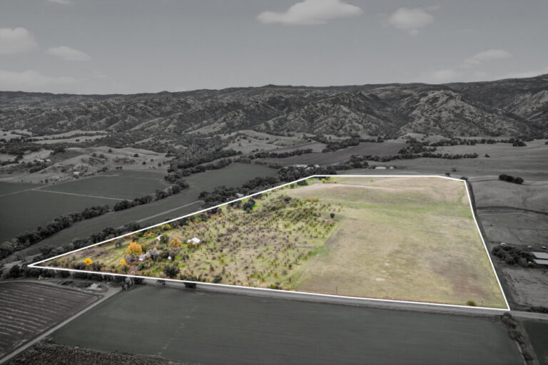 37_f381fdba-67b9-45b3-81b4-e7de0fb74c33