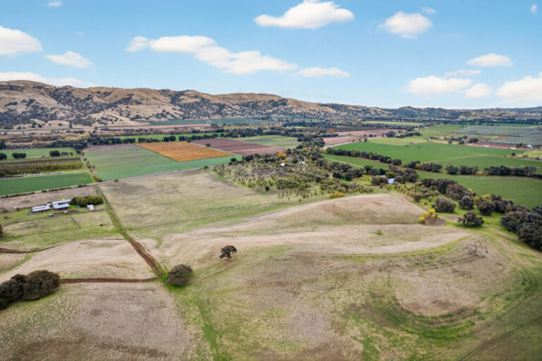 47_96934a3a-d15f-44d0-bd46-486f993c4f3c