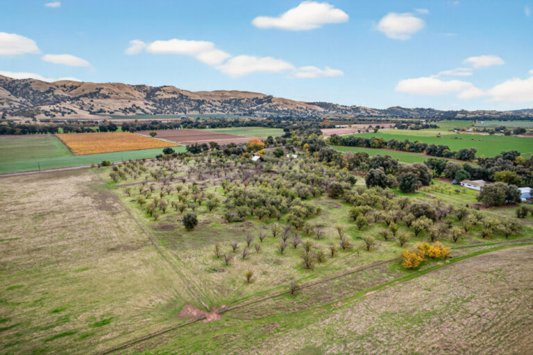 49_8831d63a-2a52-4eee-aa32-a73de4758112