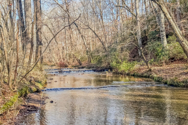 02_349199e0-3da8-416f-9688-f647c799dba7