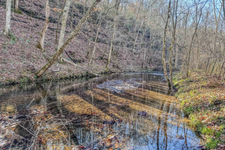 03_d3725d66-da41-407d-8edf-d9d1836adf10