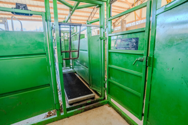 42_f5a0632a-28b2-47ea-9445-7cdbf45225e3