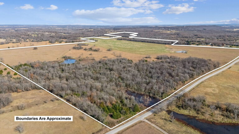 02_bf60e585-b426-4442-8570-f5c286595ee3