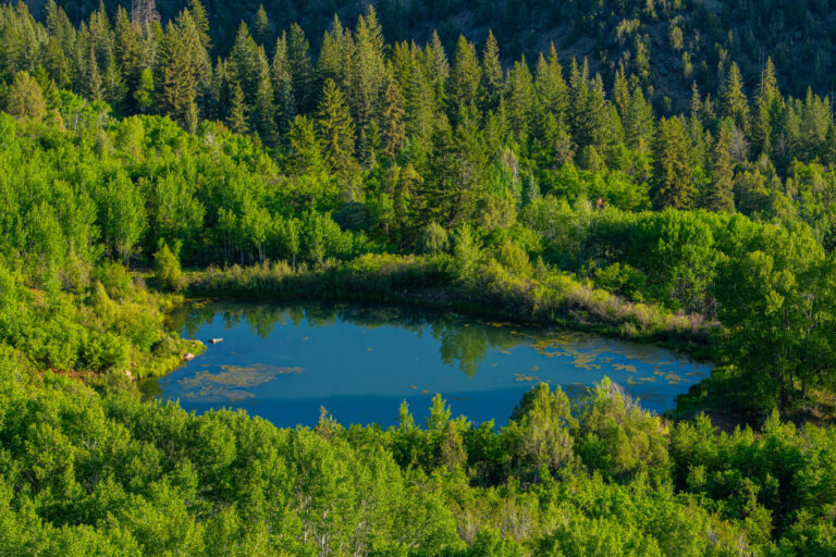 08_bf56e388-a6a9-4ed2-ad89-47dc9a3963f2