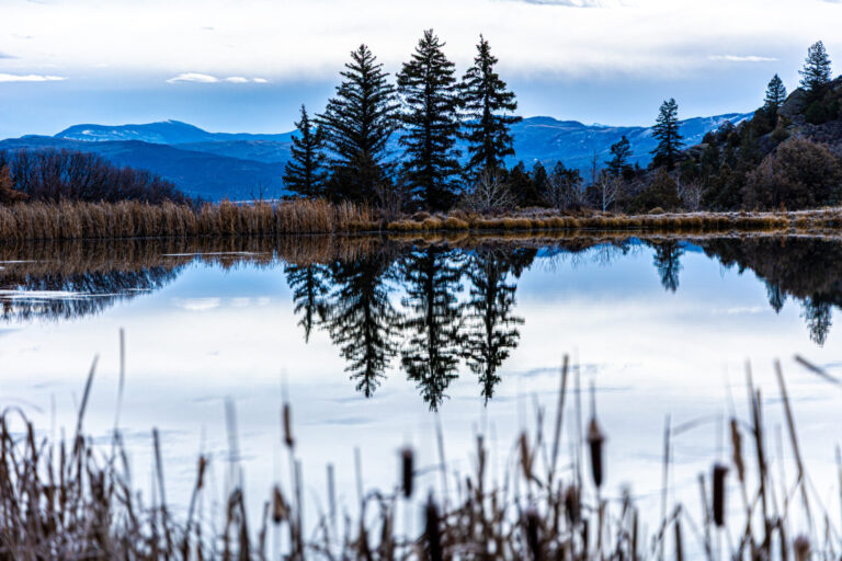 30_e2df9d26-2f6b-4983-bdf4-753de13807ca