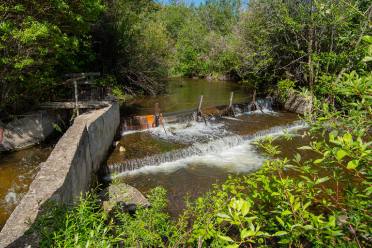 44_37b33ceb-a615-491a-823d-0829b385011e