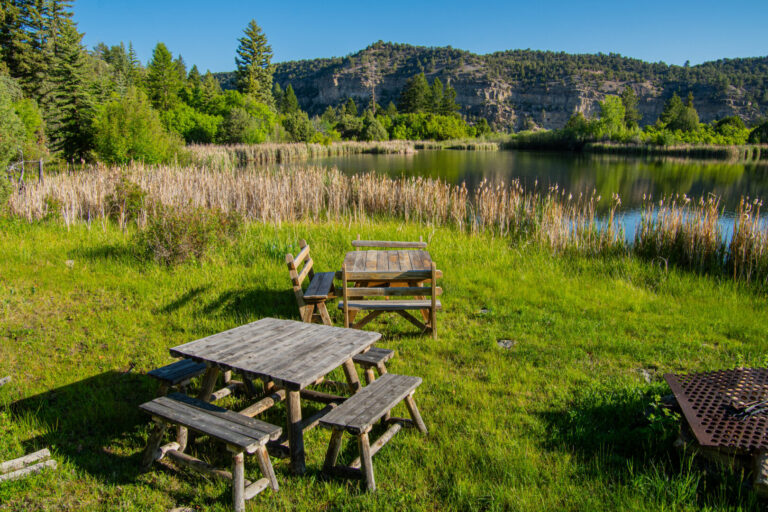 46_010b9a37-426e-466e-a4fa-8ac5e2c4f202